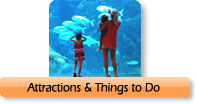 Tampa Bay Attractions